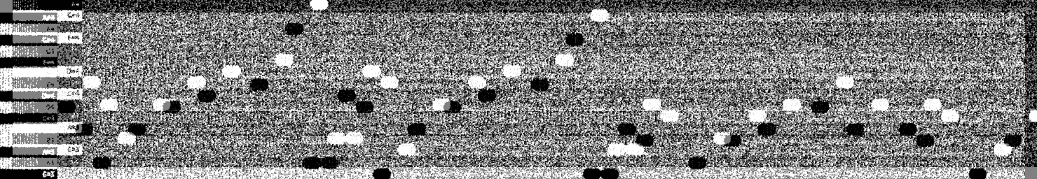 Online´ Sequencer